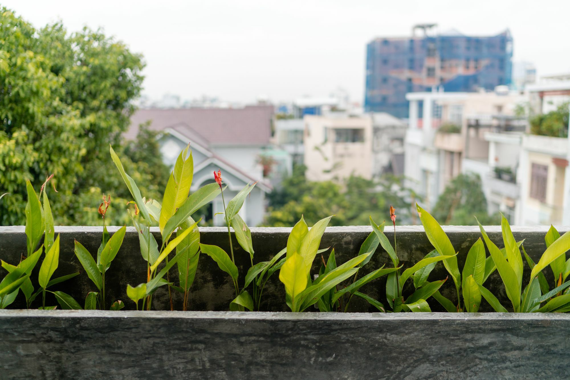 Iam Saigon Homestay Ciudad Ho Chi Minh  Exterior foto