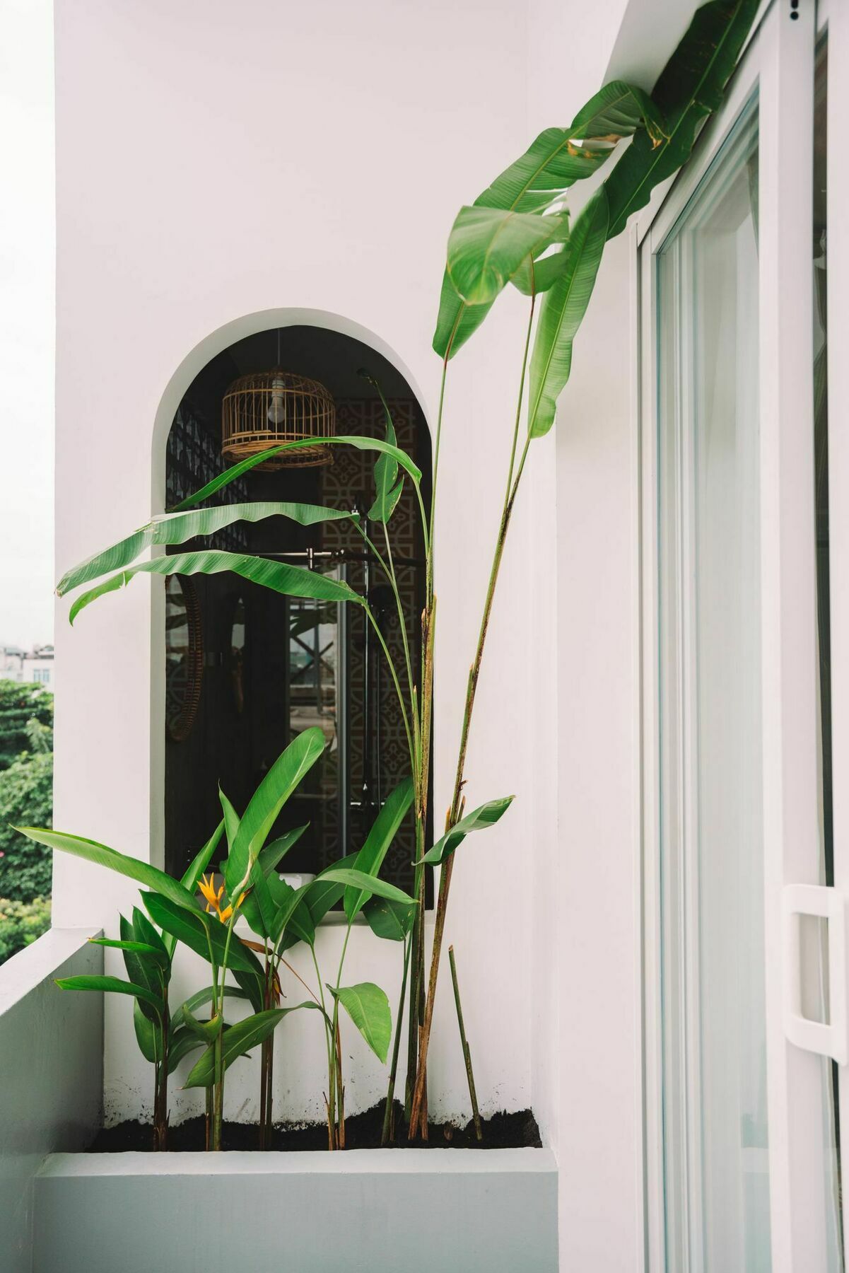 Iam Saigon Homestay Ciudad Ho Chi Minh  Exterior foto